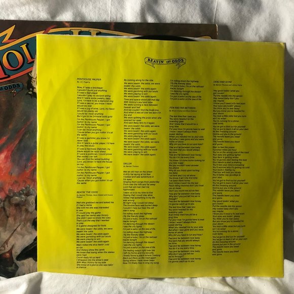 Molly Hatchet - Beatin' The Odds - Original Pressed Vinyl LP 1980 - MINT - Picture 4 of 9